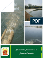 Gestion Laguna de Oxidacion