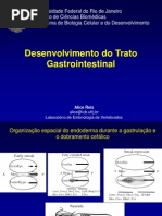 Desenvolvimento do trato gastrointestinal Farmácia PCI-II