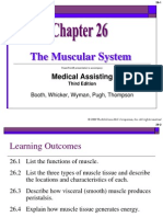 The Muscular System: Medical Assisting