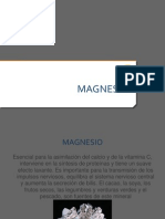 Magnesio.pptx