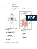 Apostila - Anatomofisiologia Parte II