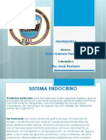 Sistema Endocrino-parraga Matos Korinn