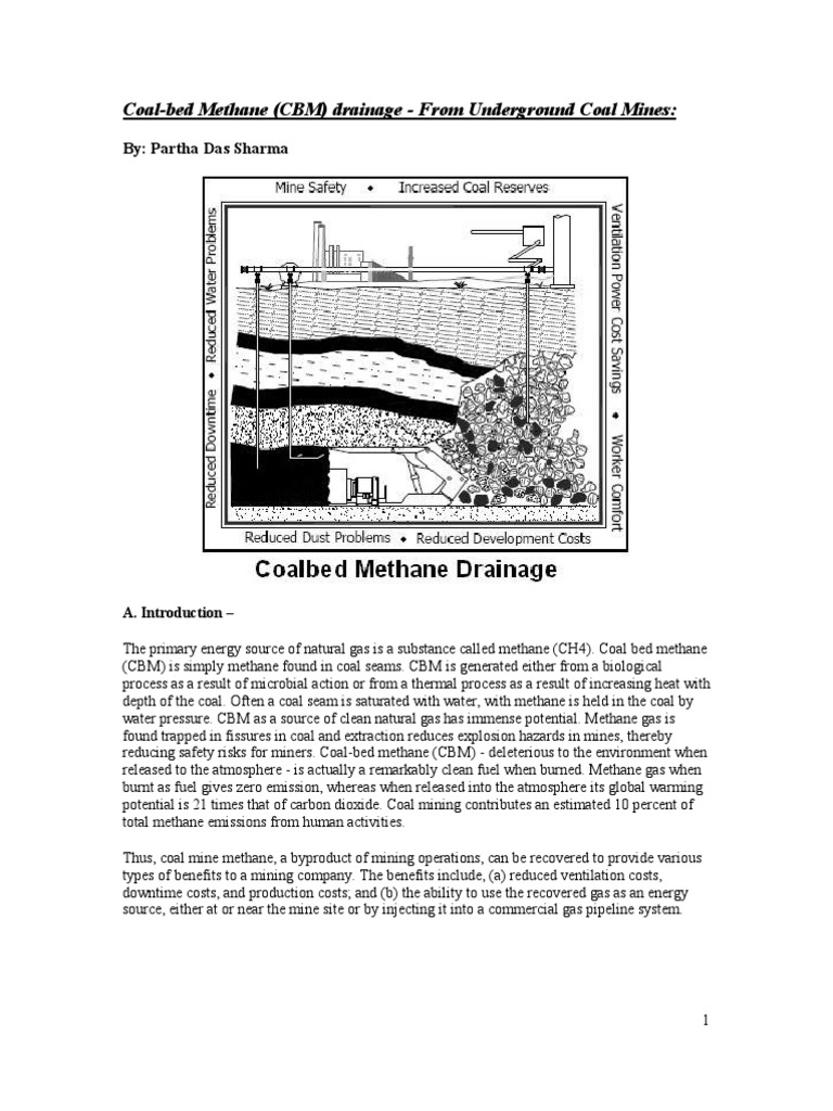 Coal Bed Methane | PDF | Coalbed Methane | Natural Gas