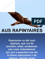 Aus Rapinyaires