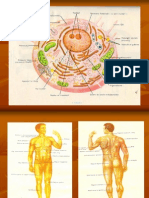 Atlas Anatomie 1