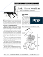 Basic Horse Nutriction
