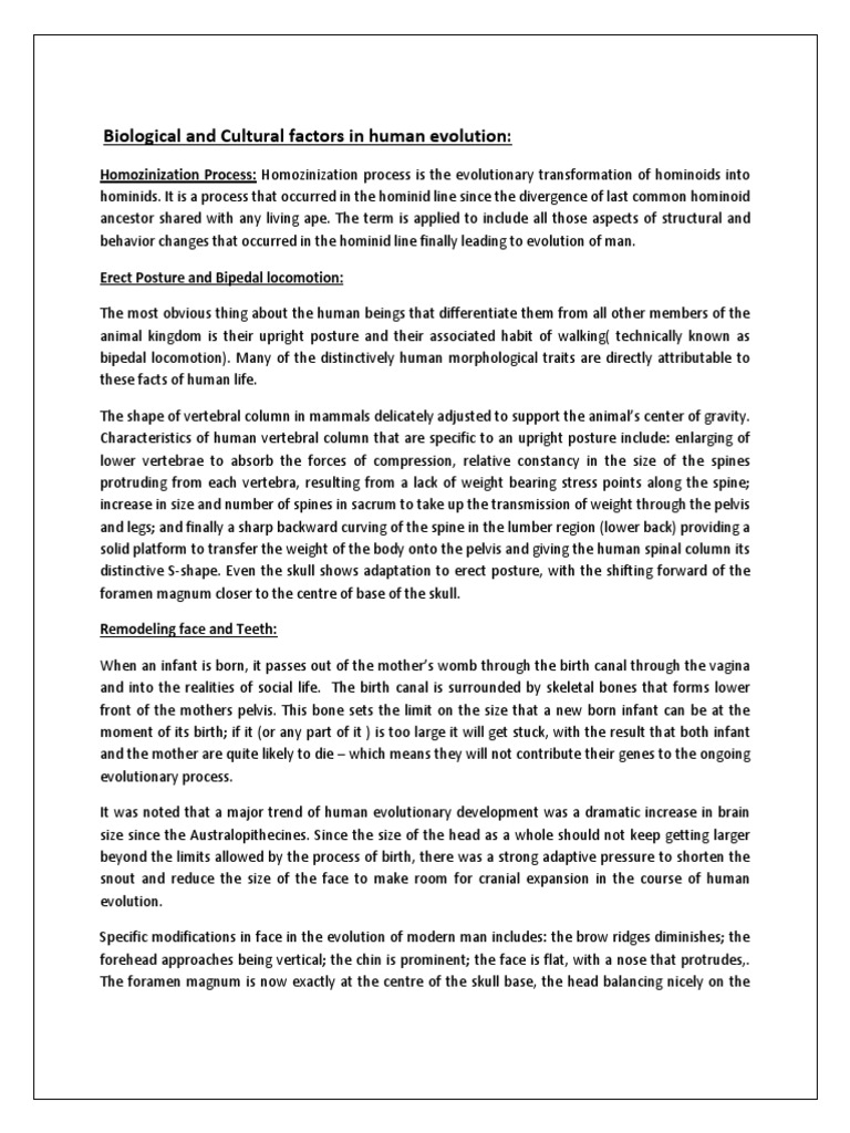 Key Factors in Human Evolution | PDF | Natural Selection | Genetic ...