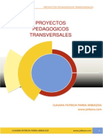 Proyectos Transversales Claudia Parra