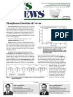 Phosphorus Nutrition