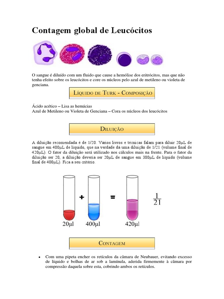 Contagem Global de Leucócitos | Download grátis PDF | Sangue ...