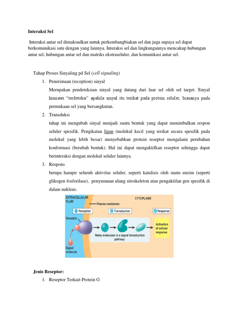 Jenis-jenis Komunikasi Sel Multiseluler | PDF | Sains & Matematika