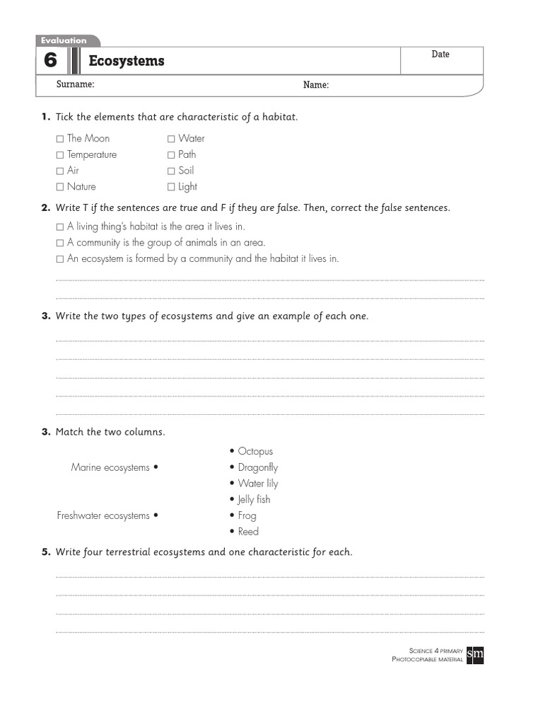 Ecosystems Evaluation Worksheet for Kids | PDF