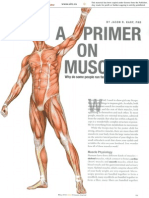 Muscle Primer