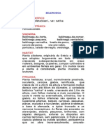 Beldroega - Portulaca Oleraceae L. Var. Sativa. - Ervas Medicinais - Ficha Completa Ilustrada