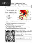 9.Teste.reproducao.1
