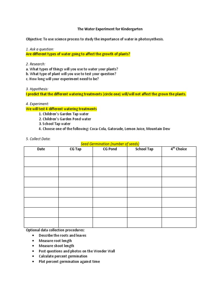 The Water Experiment For Kindergarten | PDF