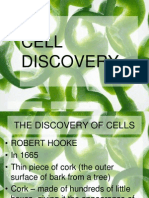 2.1. Cell Discovery