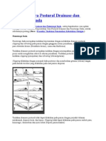 Prosedur Cara Postural Drainase Dan Fisioterapi Dada