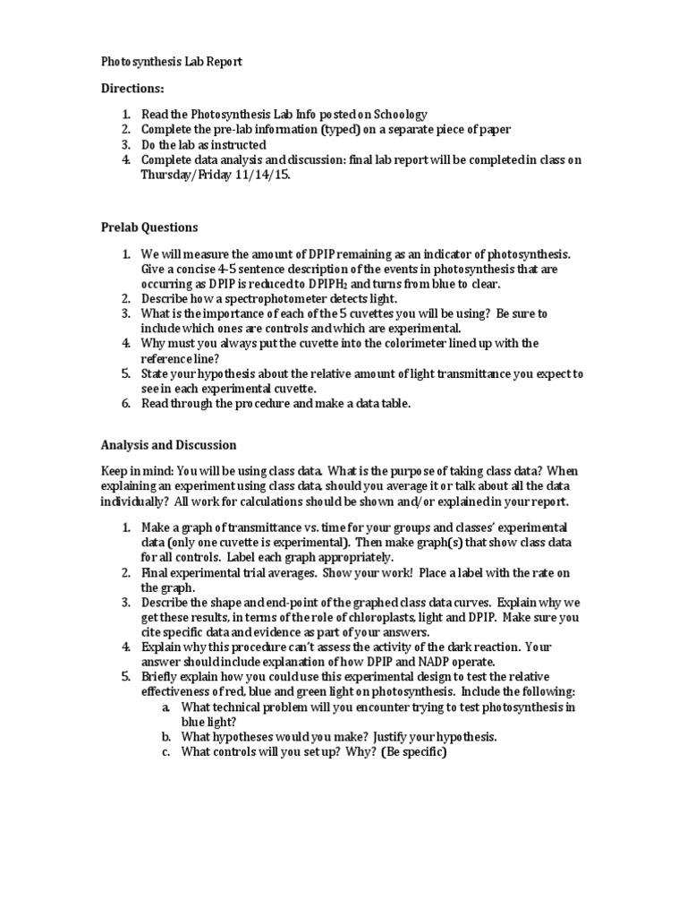 Photosynthesis Lab Report Essay