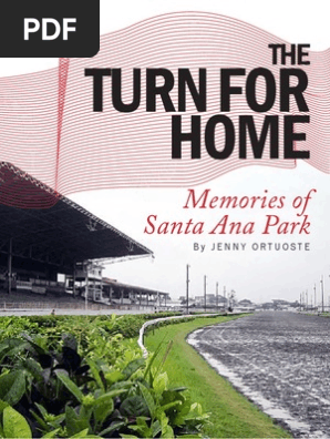 The Turn for Home by Jenny Ortuoste