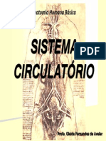 6. Sistema circulatório