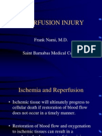 Reperfusion Injury Frank Nami Md2779