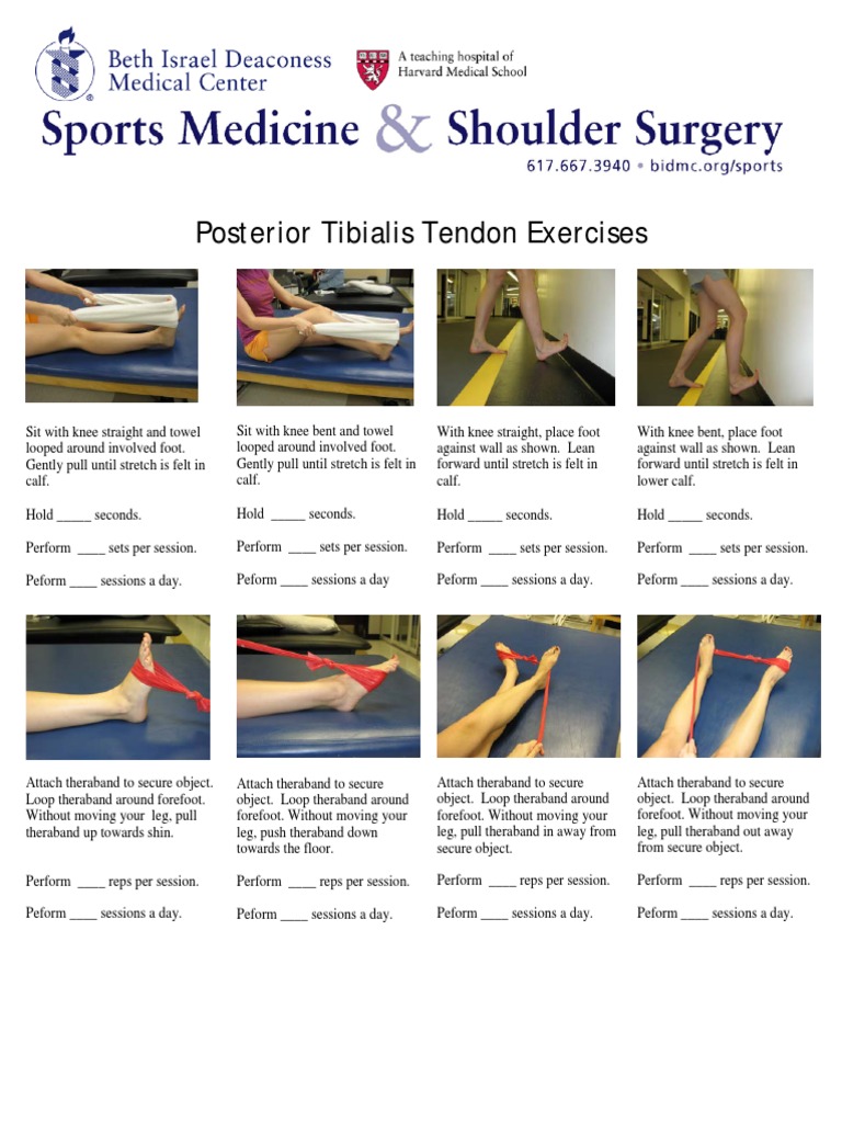 Posterior Tibialis Tendon Exercises Guide | PDF | Foot | Limbs (Anatomy)