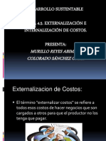 4.5 Externalizacion e Internalizacion de Costos