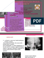  Anatomia Dental Radiografica