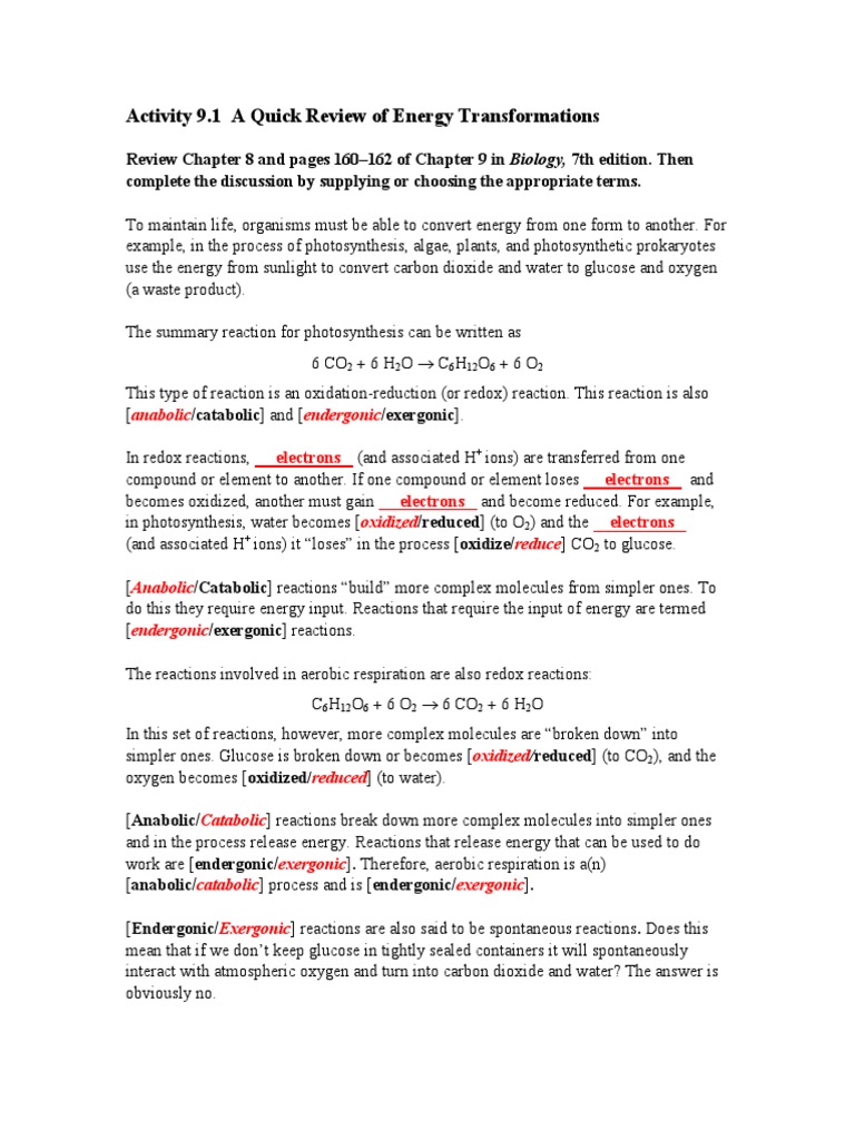 Take a picture of your homework and get answers online picture