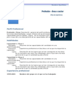 Curriculum Vitae Modelo1c Azul