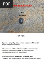 1386997826?v=1