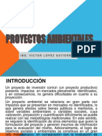 Proyectos Ambientales 2013 - 1ra Clase