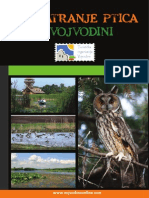 Vojvodina - BirdsWatch