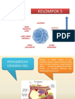 Dinding Sel Dan Membran