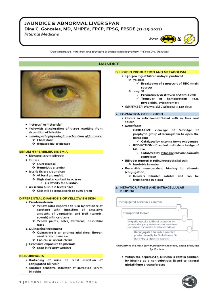 Jaundice & Abnormal Liver Span.pdf Liver Hepatitis