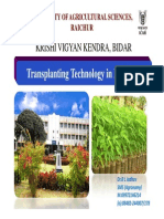 Redgram Transplanting Technology