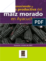 Conociendo La Cadena Productiva Del Maiz Morado en Ayacucho11