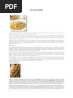 SOJA - Mitos e Verdades.pdf