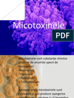 Mico Toxin e