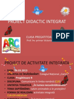 Proiect+cerc+integrat
