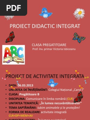 Proiect Cerc Integrat