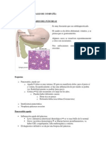 MEDICINA DE ANIMALES DE COMPAÑÍA CLASE 5