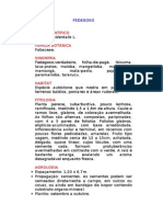 Fedegoso - Cassia occidentalis L. - Ervas Medicinais – Ficha Completa Ilustrada
