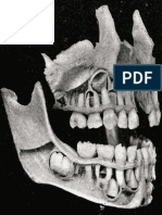 Atlas Anatomie (Imagini)