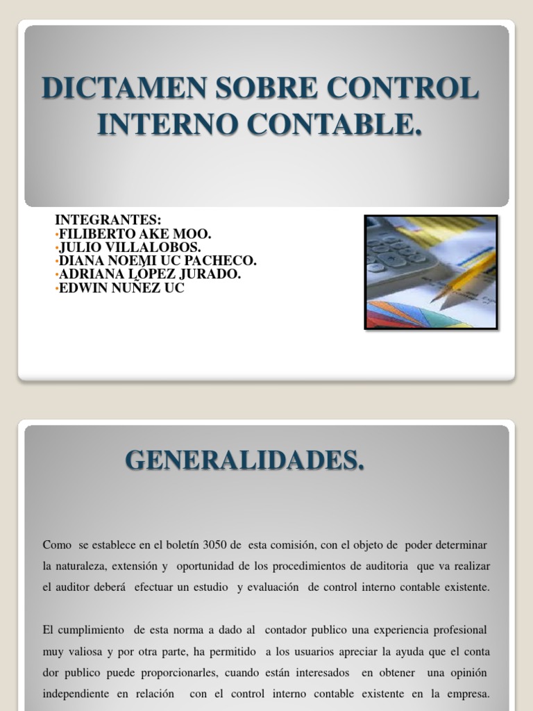 Dictamen sobre Control Interno Contable | PDF | Contralor | Contabilidad