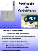 Purificação e análise de carboidratos por cromatografia e eletroforese