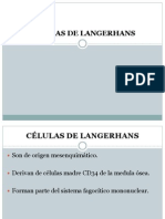 CÉLULAS DE LANGERHANS