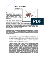 Acidente Com Aranhas