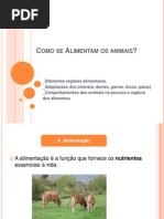 Alimentacao Dos Animais